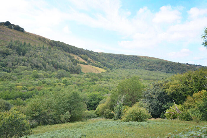 Land For Sale In Cwmdu Carmarthenshire, SA19