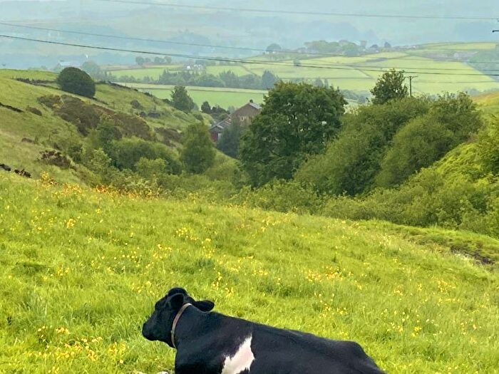 2 Bedroom Cottage For Sale In Pipits Cottage, Oaken Clough Farm, Shaws Lane, Hubberton, HX6
