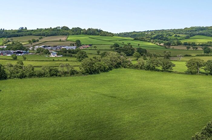 Land For Sale In Awliscombe, Honiton, Devon, EX14