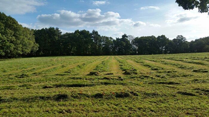 Farm Land For Sale In Ashley Heath, Ringwood, BH24