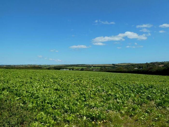 Property For Sale In Hewas Water, St. Austell, PL26