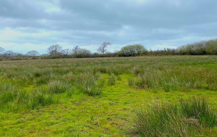 Land For Sale In Ponthirwaun, Cardigan, SA43