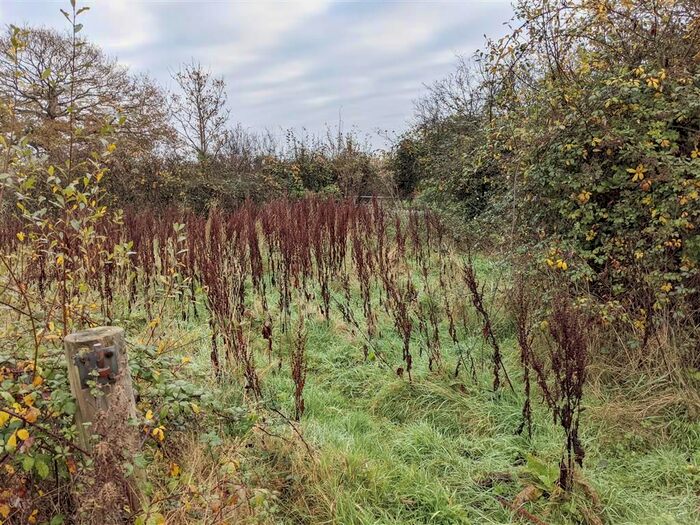 Land For Sale In Blind Lane, Northchapel, Petworth GU28