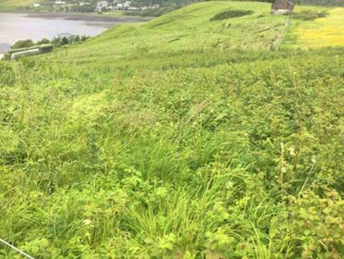 Land For Sale In South Cuil, Uig, IV51