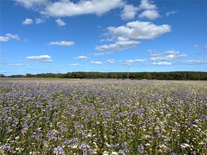 Land For Sale In Land To The North Of Ulgham, Ulgham, Morpeth, NE61