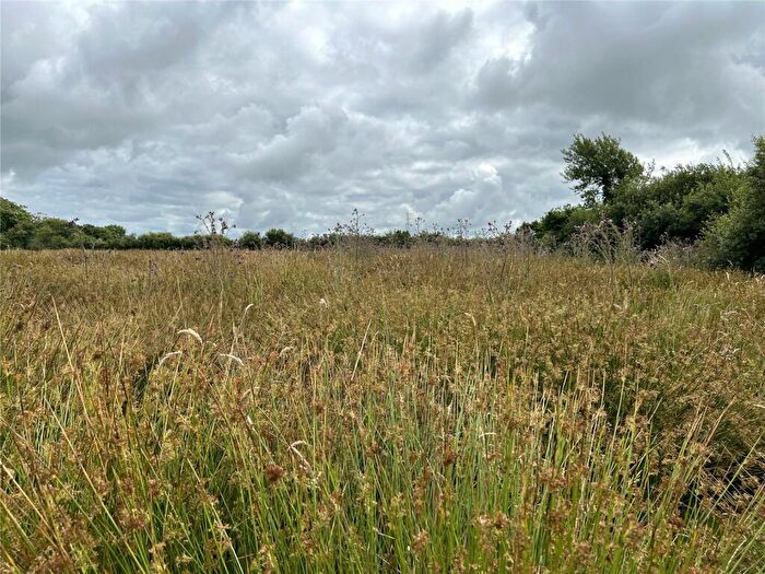 Land For Sale In Whitstone, Holsworthy, Cornwall, EX22