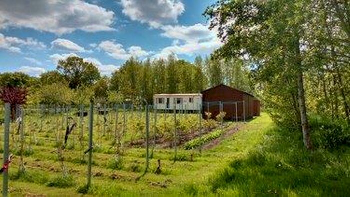 Land For Sale In The Orchard, Common Road, Bradfield, North Walsham, Norfolk, NR28