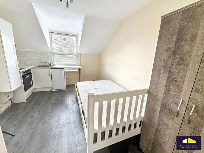 Studio To Rent In Eardley Road, London, SW16