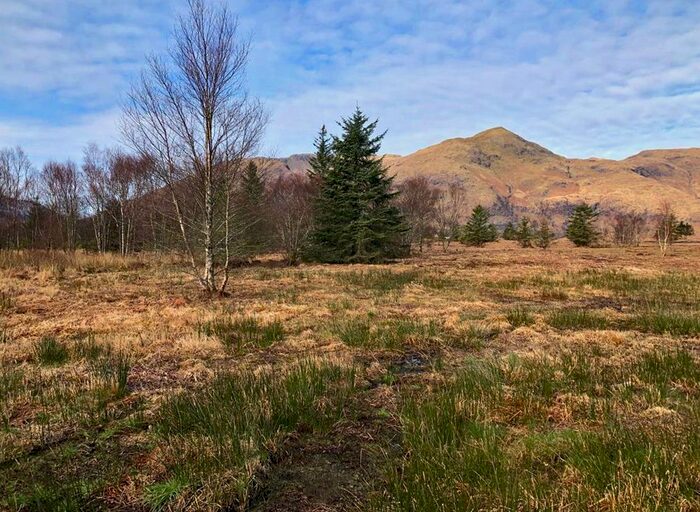 Land For Sale In Bunree, Onich, PH33