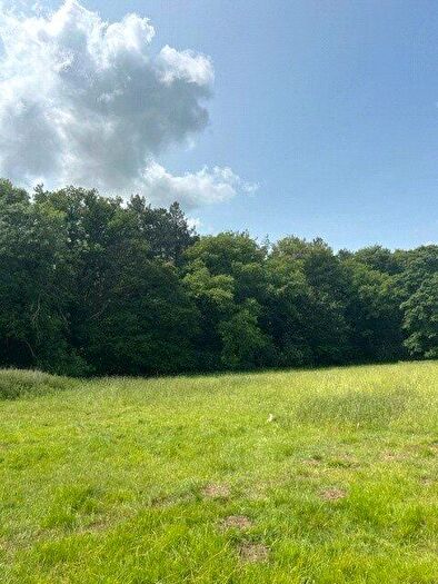 Land For Sale In Sunnyside, Bergh Apton, Norwich, Norfolk, NR15