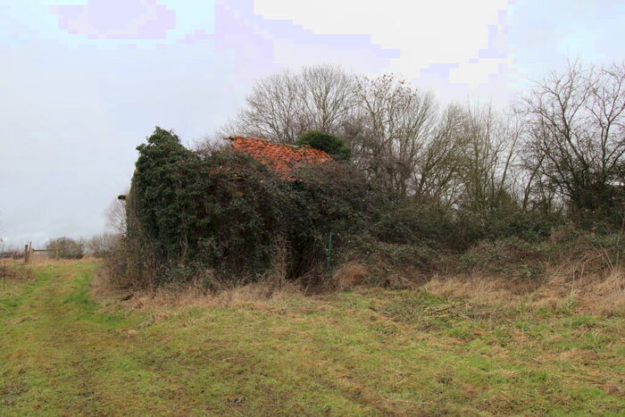 Land For Sale In Land And Derelict Barn, Coburg Lane, Saham Hills, Saham Toney, Norfolk, IP25