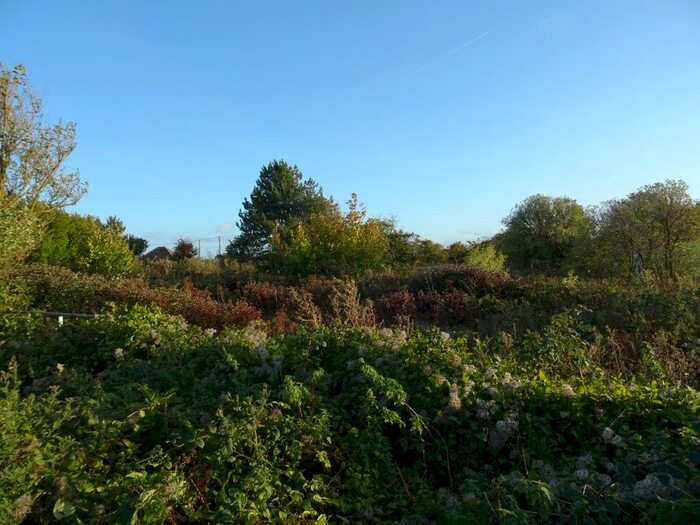 Land For Sale In New Dover Road, Capel-Le-Ferne, Folkestone, CT18