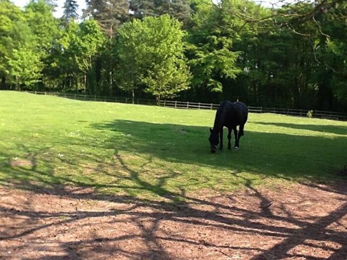 Farm Land For Sale In Normanby, DN15