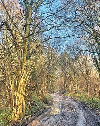 Land For Sale In Land To The North Side Of, Charlwood Lane, Newdigate, Dorking, West Sussex, RH6