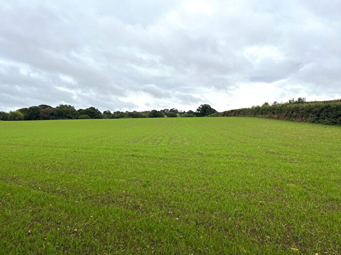 Land For Sale In Crediton, Devon, EX17