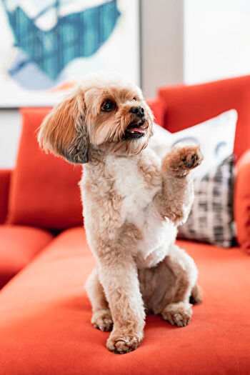 2 Bedroom Flat To Rent In Fizzy Walthamstow, D Blackhorse Lane, Walthamstow, E17