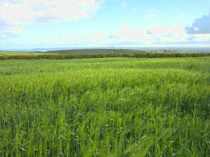 Land For Sale In Poundstock, Bude EX23