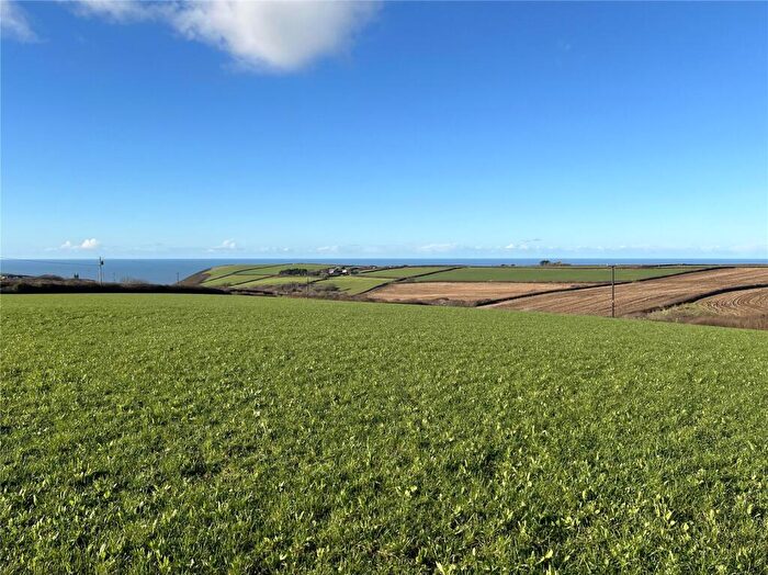Land For Sale In Morwenstow, Bude, Cornwall, EX23
