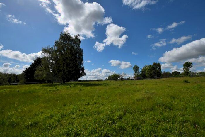 Land For Sale In Kingsley, GU35