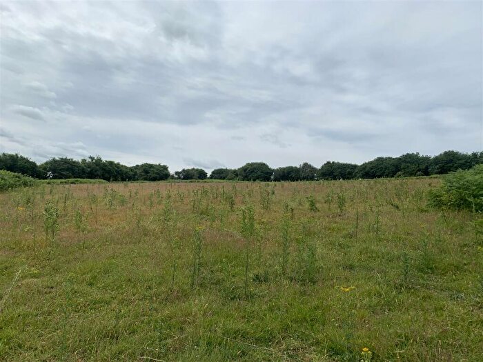 Farm Land For Sale In Llangrove, Ross On Wye, HR9