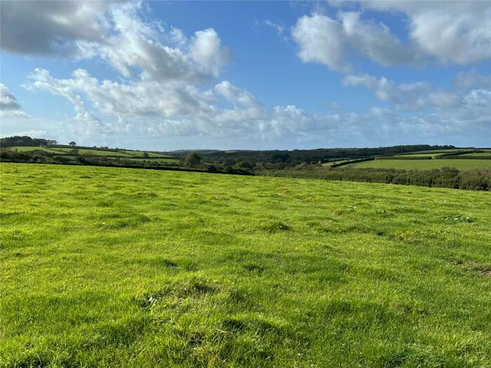 Land For Sale In Lot, Bradworthy, Holsworthy, Devon, EX22