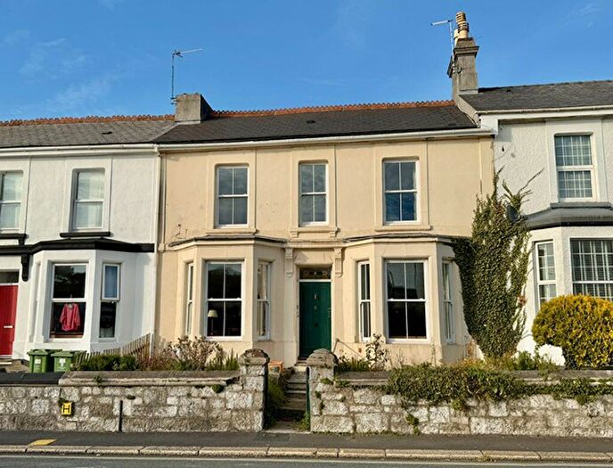 3 Bedroom Terraced House For Sale In Hyde Park Road, Mutley, Plymouth. Elegant Double-fronted Period Home In A Prime Central Location, Exceptional Potential, PL3
