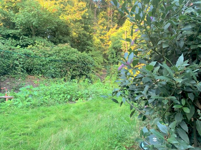 Studio To Rent In Mount Pleasant Villas, London, N4