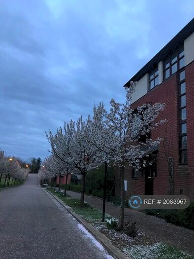 5 Bedroom Semi-Detached House To Rent In Adelphi Street, Milton Keynes, MK9