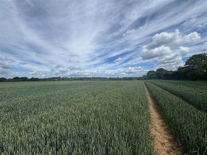 Land For Sale In Hinton Martell, Gaunts, Wimborne, BH21