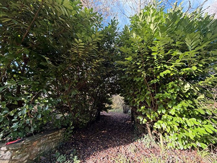 Land For Sale In Plot Snodwell Farm, Post Lane, Cotleigh, Devon, EX14