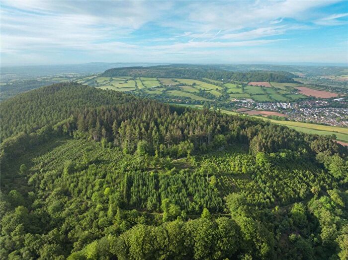 Land For Sale In Sidmouth Woods Lot, Sidmouth, Devon, EX10