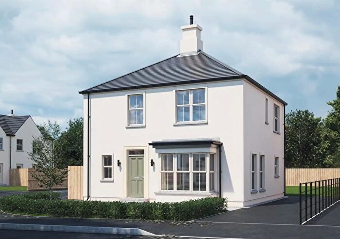 3 Bedroom Detached House For Sale In Bedroom Detached Home, Gortin Water Lane, Cookstown, BT80