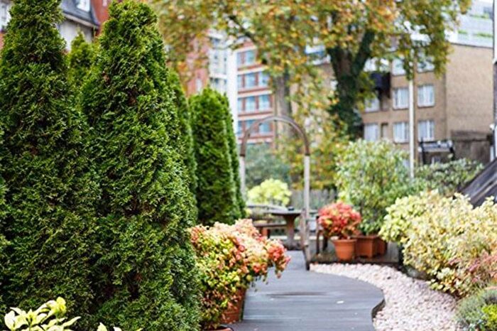Studio To Rent In Cartwright Gardens, Bloomsbury, WC1H