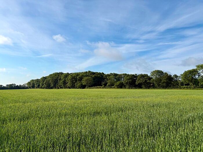 Farm Land For Sale In Arable Land At Wissett (Lot ), Lodge Lane, Wissett, Halesworth, Suffolk, IP19