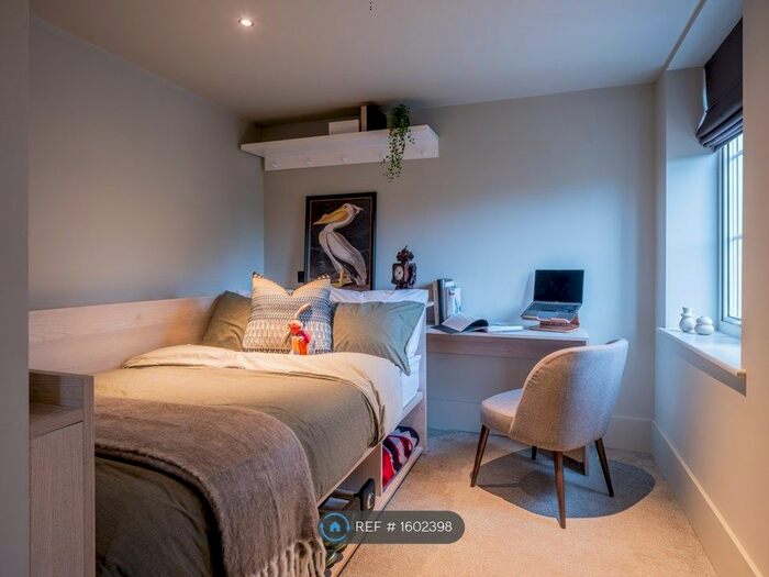 Studio To Rent In Augustus Road, London, SW19