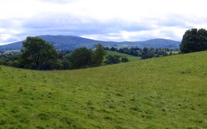 Building Plots For Sale In Two Building Sites, Dromore, BT25