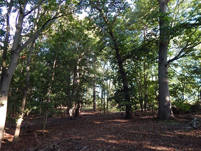 Land For Sale In Sunnyside, Bergh Apton, Norwich, Norfolk, NR15