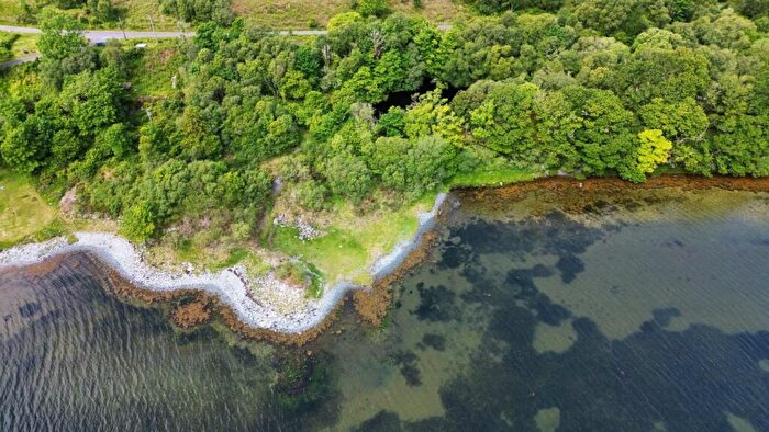 Land For Sale In Coastal Woodland, Tayvallich, Lochgilphead, Argyll, PA31
