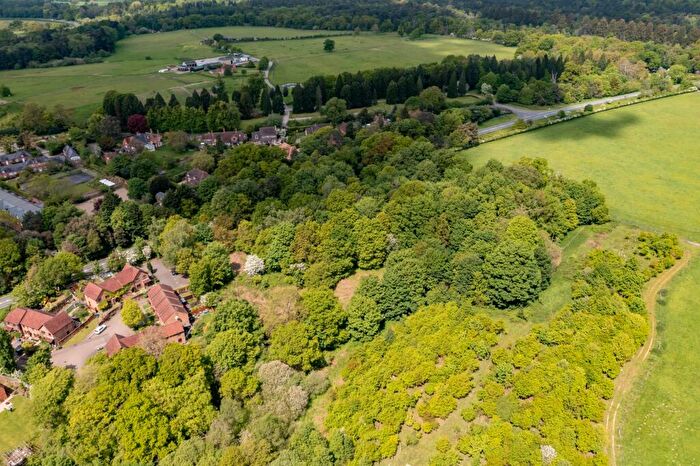 Land For Sale In The East Side Of Reading Road, Heckfield, RG27