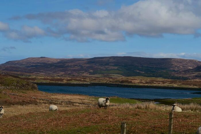 Land For Sale In Skinidin, Dunvegan, Isle Of Skye, IV55