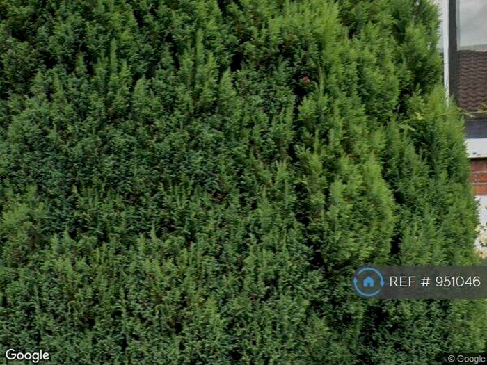 2 Bedroom Terraced House To Rent In Bull Close Road, Norwich, NR3