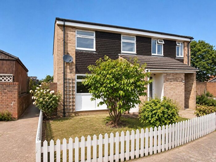 3 Bedroom Semi-Detached House To Rent In Antares Path, Hailsham, East Sussex, BN27