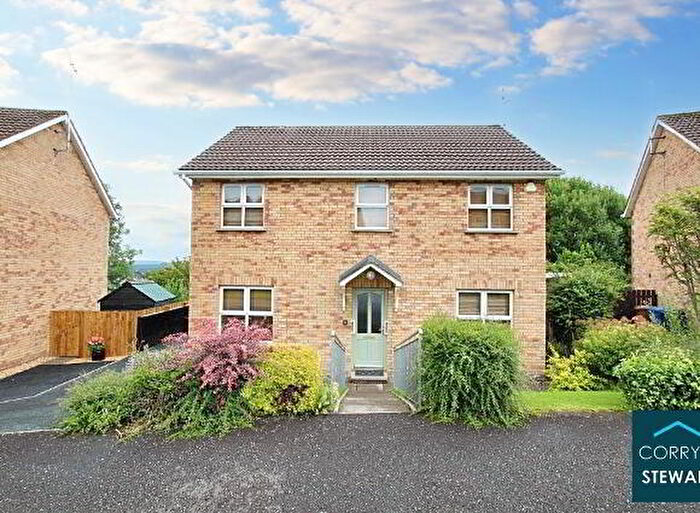 4 Bedroom Detached House For Sale In Coolnagard View, Omagh, BT78