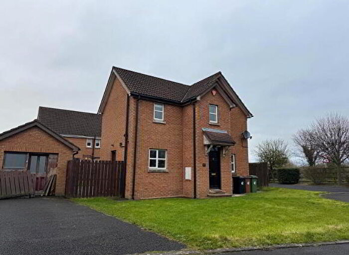 4 Bedroom Detached House For Sale In Kernan Hill Manor, Craigavon, BT63