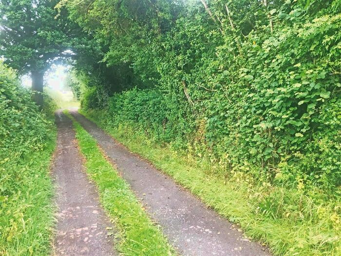 Land For Sale In Kinthall Lane, Broadheath, Tenbury Wells, WR15