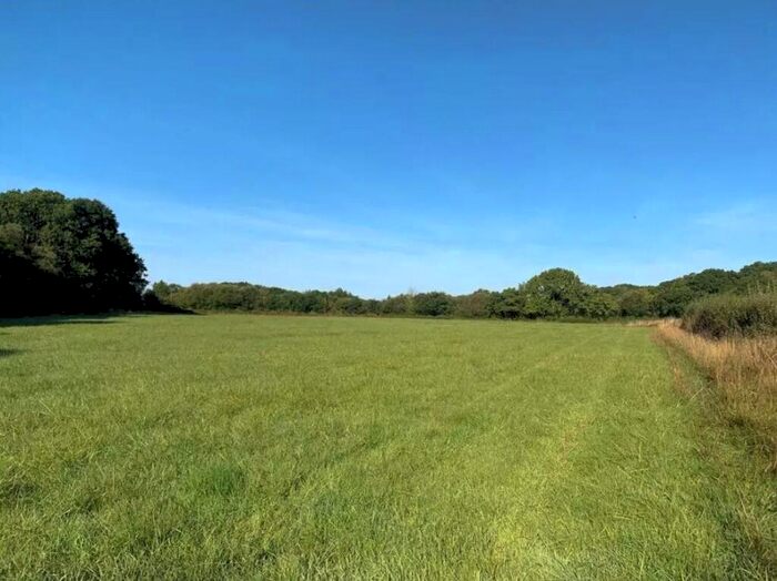 Land For Sale In Exbourne, Okehampton, Devon, EX20