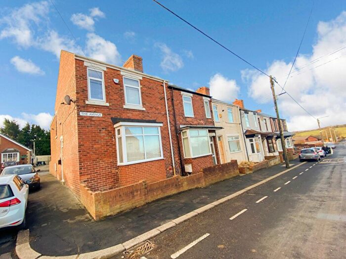 3 Bedroom Terraced House To Rent In The Avenue, Wheatley Hill, Co Durham, DH6