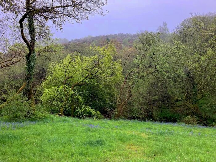 Land For Sale In Knowstone, South Molton, EX36