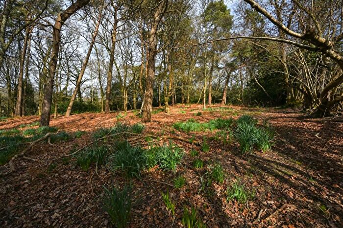 2 Bedroom Detached House For Sale In Furze Hill, Fordingbridge, SP6