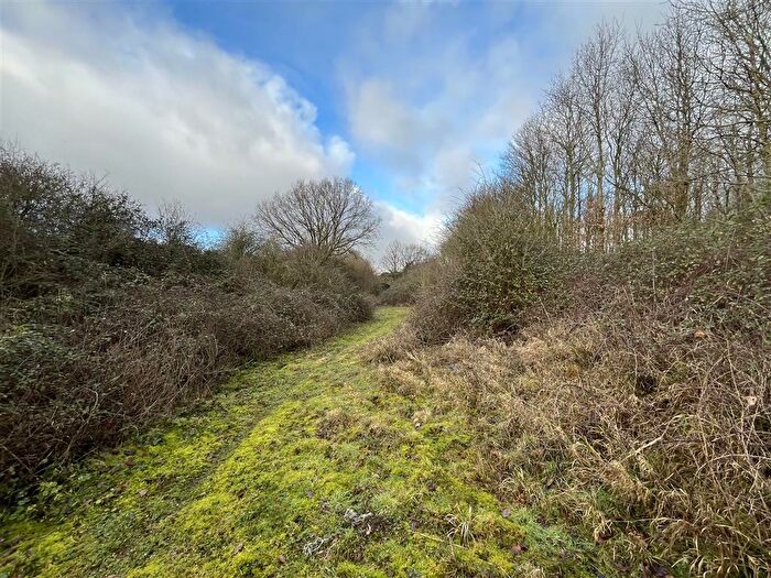 Land For Sale In Fundenhall Road, Hapton, Norwich, NR16